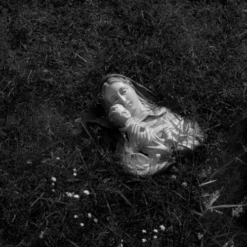 Millennium Images