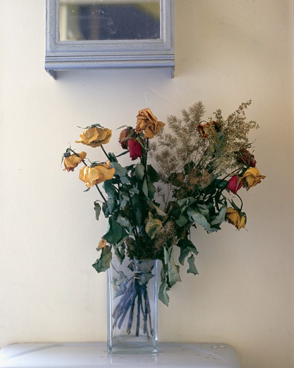 Millennium Images