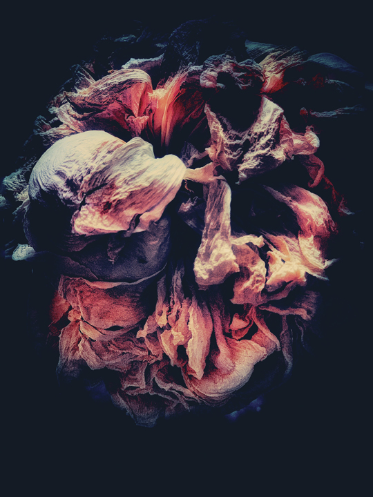 Millennium Images