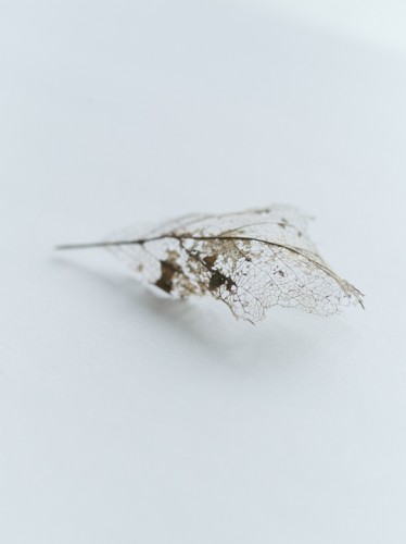 Millennium Images