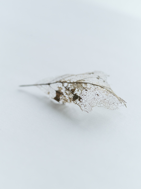 Millennium Images