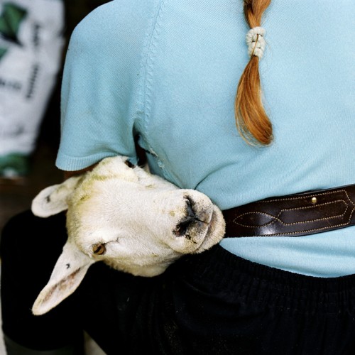 Millennium Images