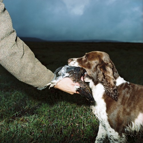 Millennium Images