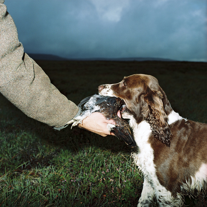 Millennium Images