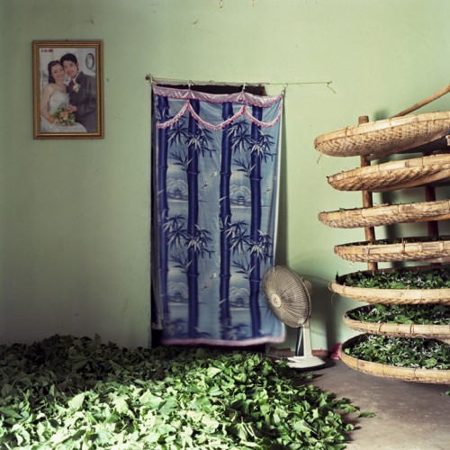 Millennium Images