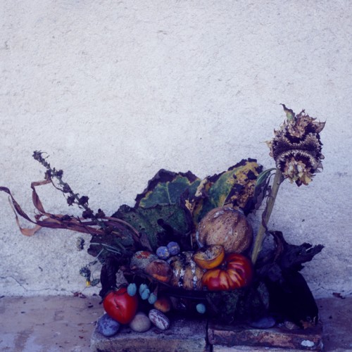 Millennium Images