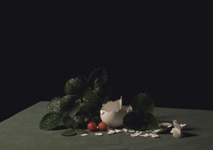 Millennium Images