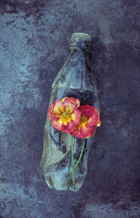 Millennium Images