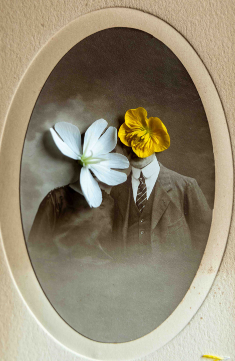 Millennium Images