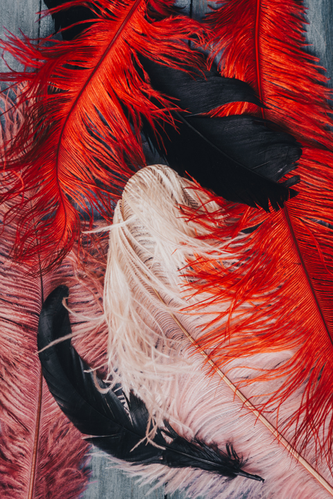 Millennium Images